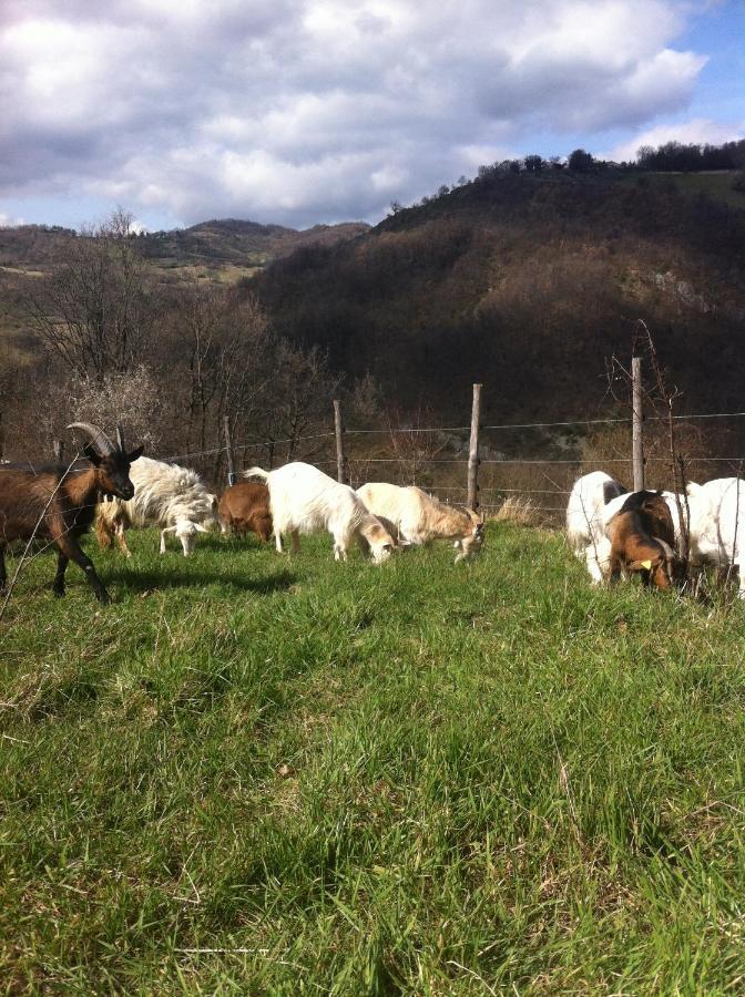 Agriturismo Il Covo Del Solengo Valtopina Exteriér fotografie