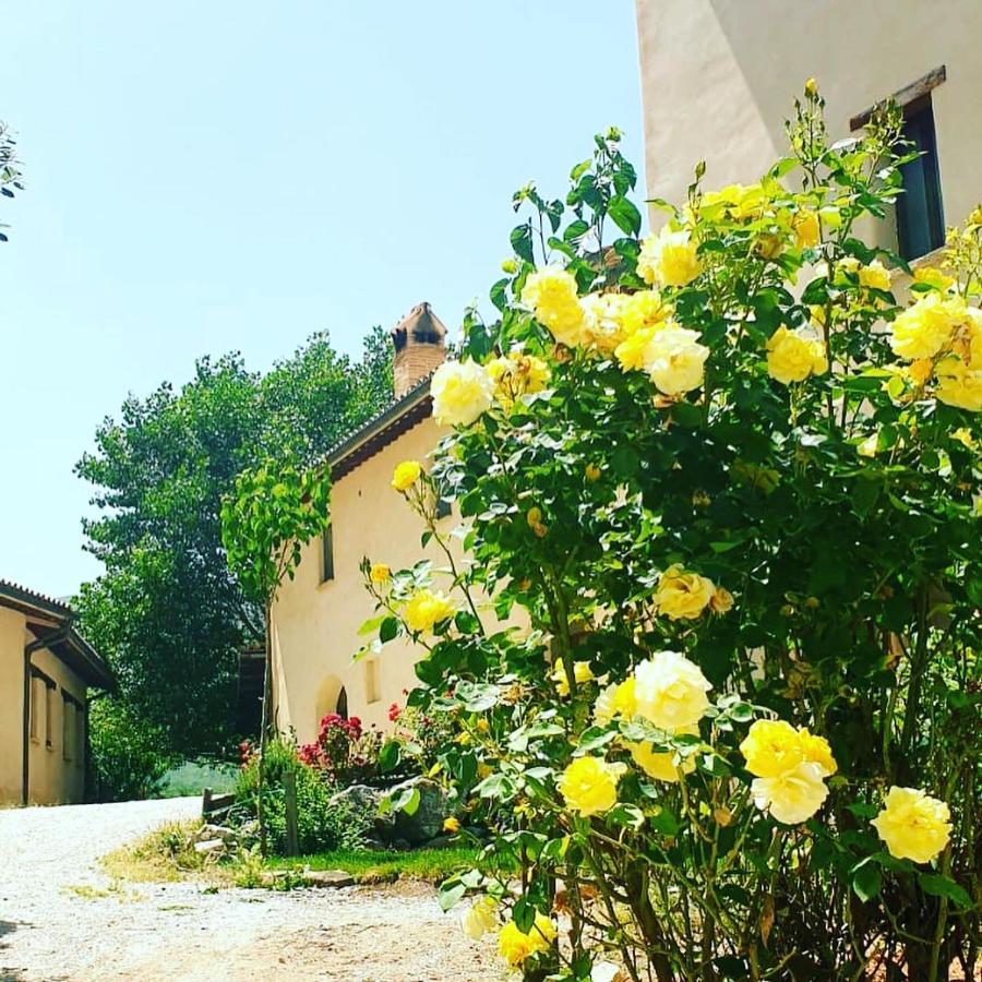 Agriturismo Il Covo Del Solengo Valtopina Exteriér fotografie