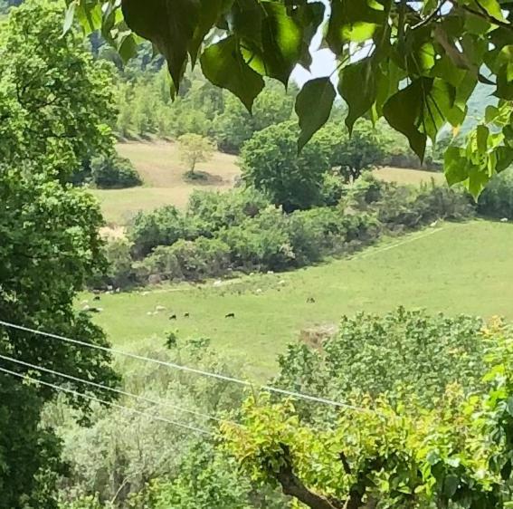 Agriturismo Il Covo Del Solengo Valtopina Exteriér fotografie