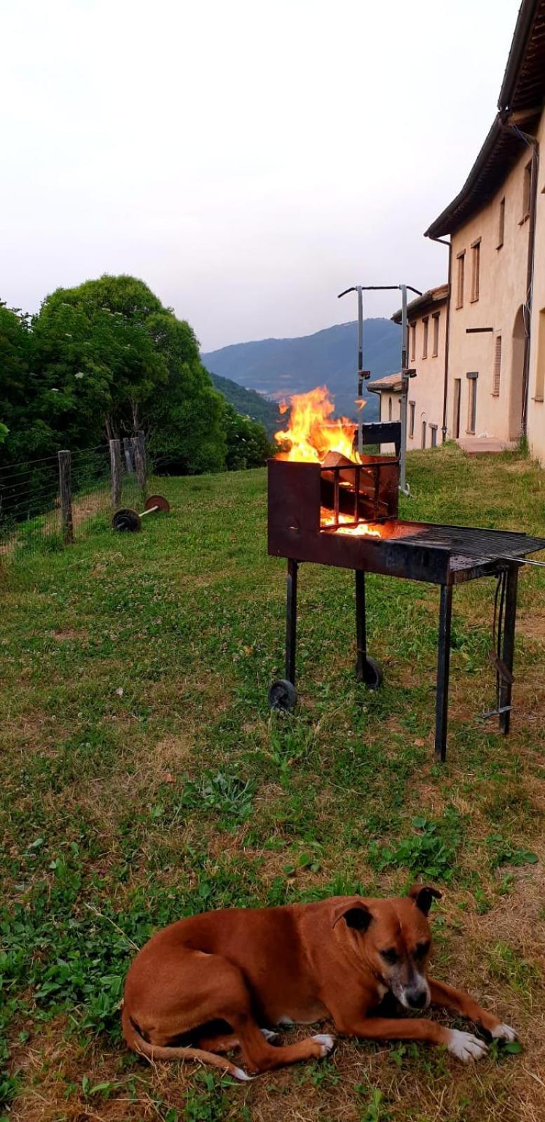 Agriturismo Il Covo Del Solengo Valtopina Exteriér fotografie