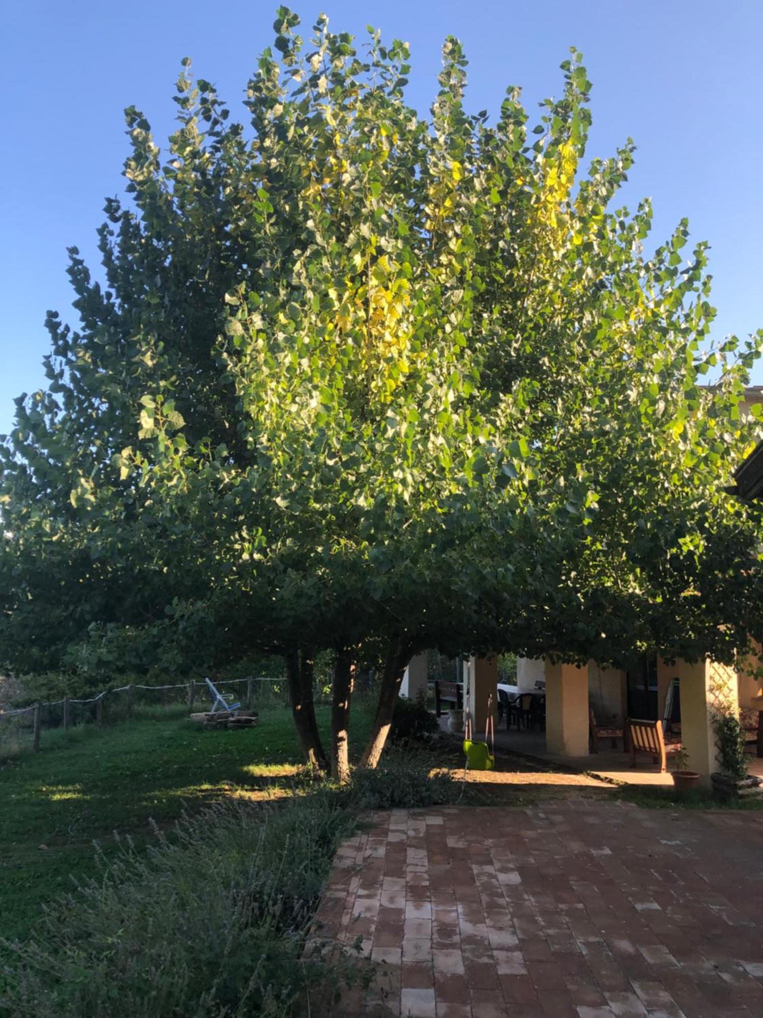 Agriturismo Il Covo Del Solengo Valtopina Exteriér fotografie